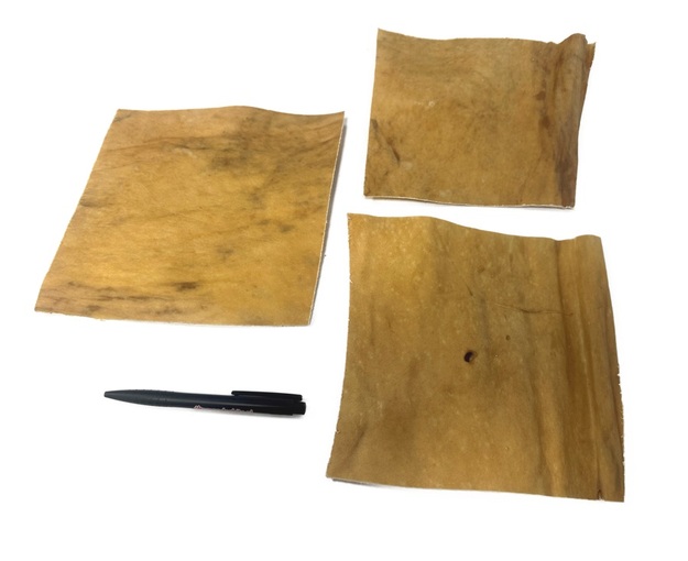 KH platen paard_DB 05.2025