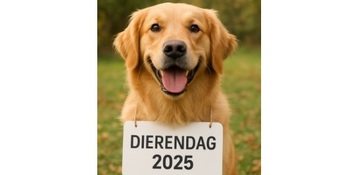 dierendag dog3