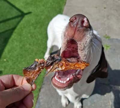 Nel (tante nel Insta)