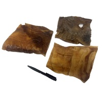 KH plaat kameel 20x20cm._DB 05.2025