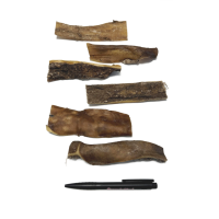 Hertenkophuid ca 15 cm.