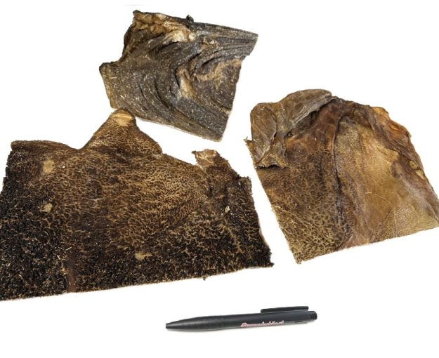 Geitenpens platen_DB