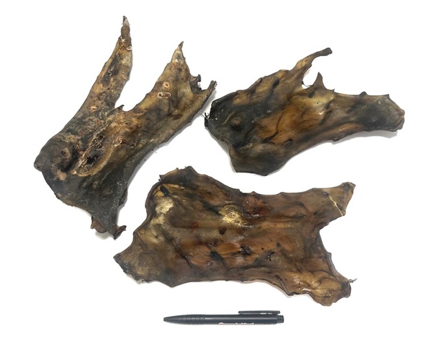 Paard Vleesplaat_DB1