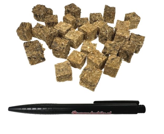 vis dobbelsteentjes_DB