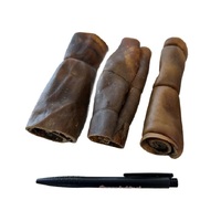 Kameel kophuidrol 15_DB2