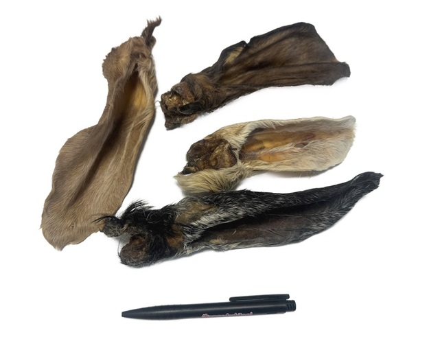 Lamsoren met haar_L_DB