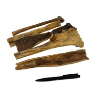 Wildzwijn Kophuid_DB