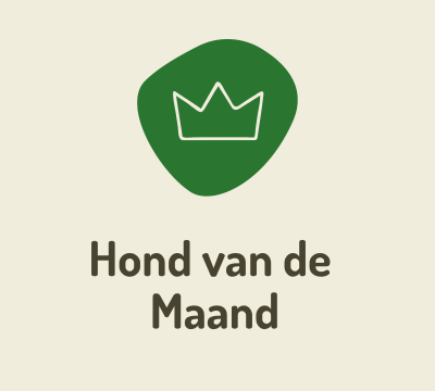 Dogbite – van alles wat (1080 x 1350 px)