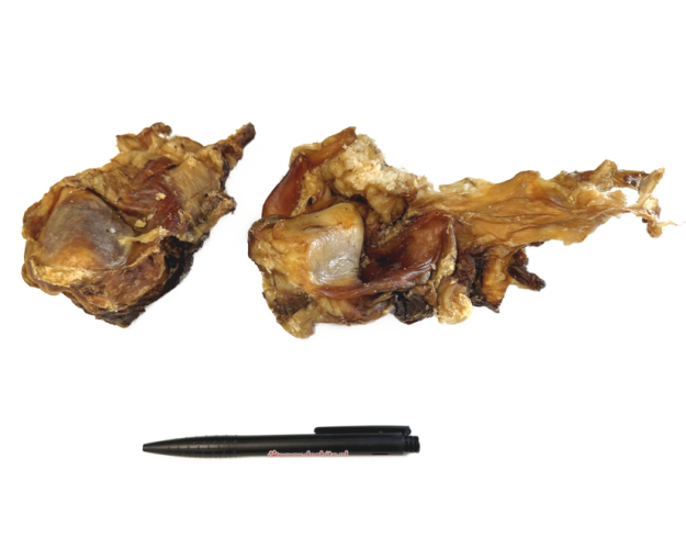 knieschijf met vlees xl