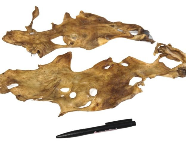 Lams kophuid platen_DB