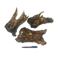 Paard Vleesplaat_DB1