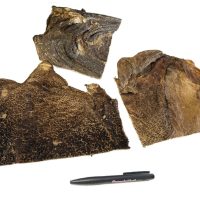 Geitenpens platen_DB