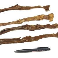 Paard Buigpees Lang_30_DB