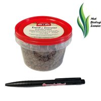 crunchy trainer Eend zeewier_DB2