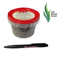 Crunchy trainer hert zeewier_DB2