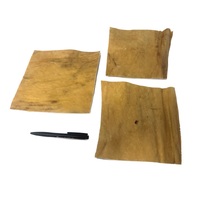 KH platen paard_DB 05.2025